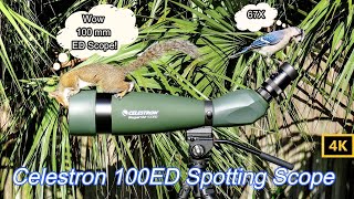 Celestron Regal M2 2267X 100mm ED Spotting Scope Review [upl. by Bj272]