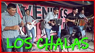 LOS CHALAS  CHAMAME 2020 [upl. by Robet29]