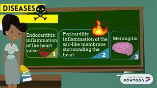 Bacteroides Fragilis PMI 127 [upl. by Close151]