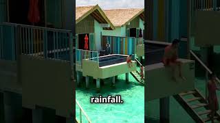 Travel to Maldives trip tips for all tourists triptipdaily dreamvacation maldives travel [upl. by Malamud825]