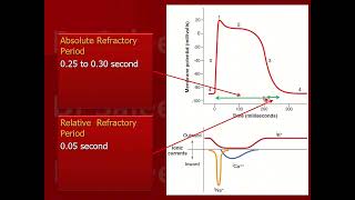 Refractory period cardiac vs skeletal muscle [upl. by Varian]