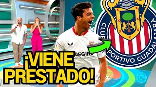 ¡ES OFICIAL ¡LA NEGOCIACIÓN SE CERRÓ ¡UNA SORPRESA TOTAL  NOTICIAS CHIVAS HOY [upl. by Ekez634]