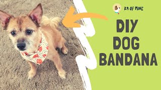 DIY Dog Bandana How to Make a Homemade Pup Bandana [upl. by Ahsiei]