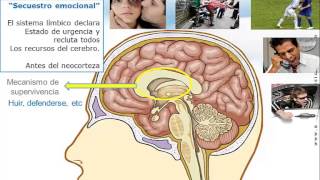 Inteligencia emocional video curso charla conferencia previo [upl. by Tombaugh]