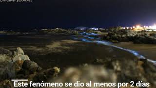 Bahía Inglesa bioluminiscente [upl. by Esilec]