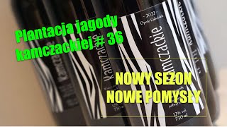 Plantacja jagody kamczackiej 36  Nowy sezon nowe pomysły [upl. by Araf691]