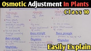 Osmotic Adjustment In Plants  Hydrophytes  Xerophytes  Halophytes  UrduHindi [upl. by Leohcin]
