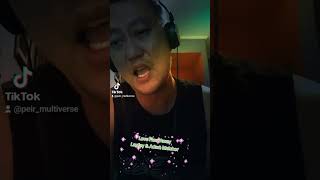 Song Cover  Laufey amp Adam Melchor  Love Flew Away [upl. by Tewfik]