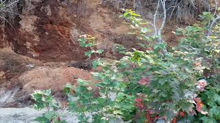 Muskallonge Lake State Park Sawdust pile on Lake Superior 2019 pt2 [upl. by Waylin979]