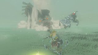 Silver Lynel Vs Molduga Vs Link  Zelda Breath of the Wild [upl. by Ketty]