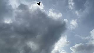 This Gripen turbo whine sounds so sweet [upl. by Eberly420]