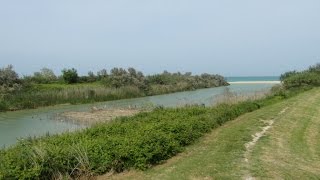 LA FOCE DEL FIUME MUSONE NUMANA E PORTO RECANATI MARCHE ITALY [upl. by Eneladgam]