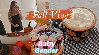 Baby2 Gender RevealChit Chat  Fall Vlog ep 2 [upl. by Radman]