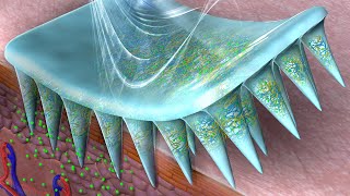 MicroneedleArray Patch with EnzymeFree Polymeric Components for OnDemand Insulin Delivery [upl. by Ahseal]