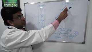 Why aPTT is used to monitor unfractionated heparin UFH not LMWH low molecular weight heparin [upl. by Acinorahs]