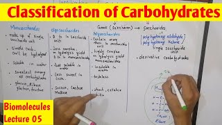 Classification of Carbohydrates in UrduHindi  Carbohydrates  Biomolecules [upl. by Nnylirak]