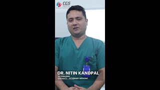 Dr nitin  Specialized treatments are available at CGS Hospital for pets [upl. by Tirma]