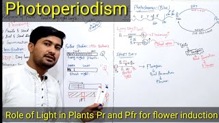 Photoperiodism class 12  photoperiodism in plants  Role of Phytochromes in plants flowering [upl. by Adnilre]