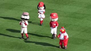 Cincinnati Reds Mascots [upl. by Zurek193]