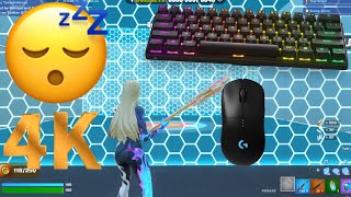 SteelSeries Apex Pro Mini ASMR 😴 Rapid Box Fights 📦 Satisfying Keyboard Fortnite 240 FPS 4K [upl. by Eibrik404]