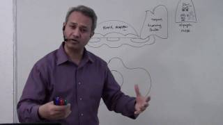 Immunology Macrophage Lecture 5 Part 110 [upl. by Niledam]