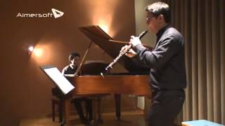 WA Mozart  Oboe Concerto in C Major KV 314 [upl. by Aikrahs271]