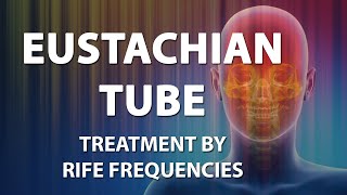 Anatomy of Eustachian Tube [upl. by Roda]