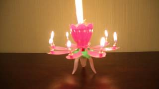 Lotus shaped birthday candle [upl. by Lanza]