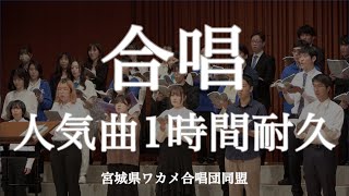 【作業用BGM】合唱人気曲まとめ歌詞付きメドレー1時間耐久定番曲 presented by 全日本ワカメ合唱団同盟 （Meet Up Chorus Fesより） [upl. by Chanda]