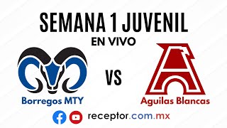 Borregos Tec MTY vs Águilas Blancas IPN  EN VIVO  Semana 1 Juvenil Primavera ONEFA 2024 [upl. by Nnewg734]