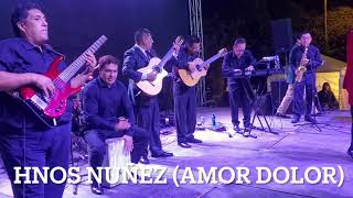 HNOS NUÑEZ AMOR DOLOR EN VIVO [upl. by Cinomod]