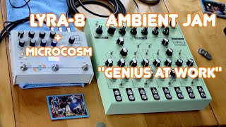 Lyra8  Microcosm ambient jam quotgenius at workquot [upl. by Notsniw984]