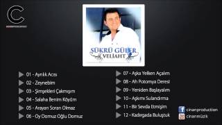 Şükrü Güler  Zeynebim Kemençe ✔️ [upl. by Girovard541]