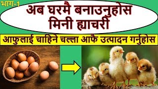 मिनी ह्याचरी कसरी बनाउने  how to make mini hatchery [upl. by Gobert]