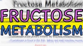 Biochemistry Help Fructose Metabolism [upl. by Nerahs270]