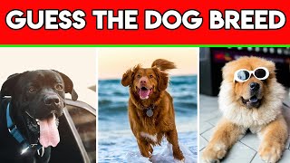 Can You Pass Dog Breed Quiz  Top 10 Trivia Questions [upl. by Bradney]