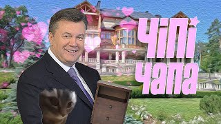 ЯНУКОВИЧ  ЧІПІ ЧІПІ ЧАПА ЧАПА by MONROTE [upl. by Uticas]