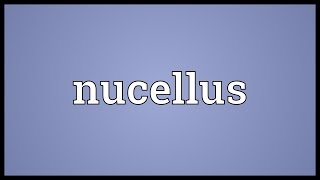 Nucellus Meaning [upl. by Eerazed]