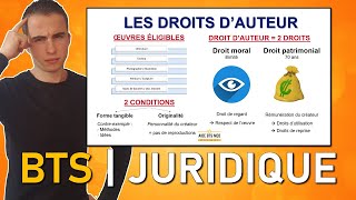 Révisions DROIT 14  Les droits dauteur  droit moral et patrimonial  AIDE BTS MUC  BTS MCO [upl. by Birdie]