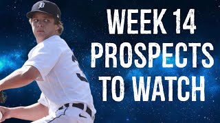 Prospects To Watch Week 14 Fantasy Baseball [upl. by Blader274]