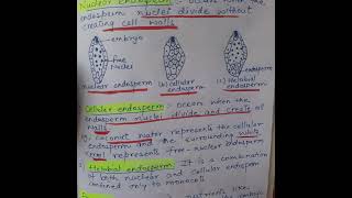 Exploring endosperm types and functions endosperm neet [upl. by Welford]