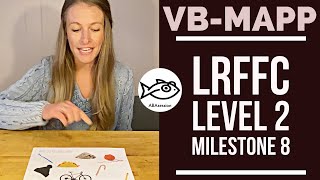 HowTo VBMAPP LRFFC Level 2 Milestone 8 [upl. by Hairacaz]