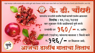 K D Choudhari Dalimb Yard Pune  दिनांक २२०३२०२४ वार शुक्रवार रोजीचा डाळिंब आणि पेरू मालाचा लिलाव [upl. by Festa160]