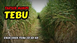 Tafsir Mimpi Tebu amp Erek Erek Tebu 2D 3D 4D [upl. by Ttereve]