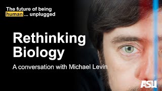 Rethinking Biology A Conversation With Michael Levin [upl. by Putnem801]