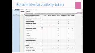 crelox and cre recombinases in Mouse Genome Informatics worksheet module 2 [upl. by Varion588]