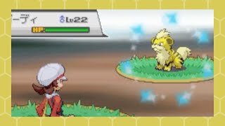 Shiny Growlithe after 9276 REs in HeartGold SBQ 6 [upl. by Tansy]