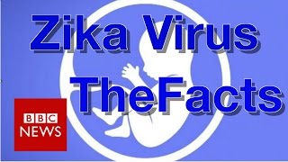 Zika virus What you need to know  BBC News [upl. by Nerrol]