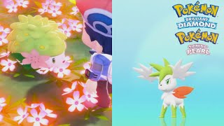 Pokémon Brilliant Diamond amp Shining Pearl  Route 224 Flower Paradise catching Shaymin amp form [upl. by Buckingham25]