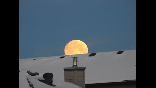 Moon on the rooftop  القمر على السطح [upl. by Greenland]